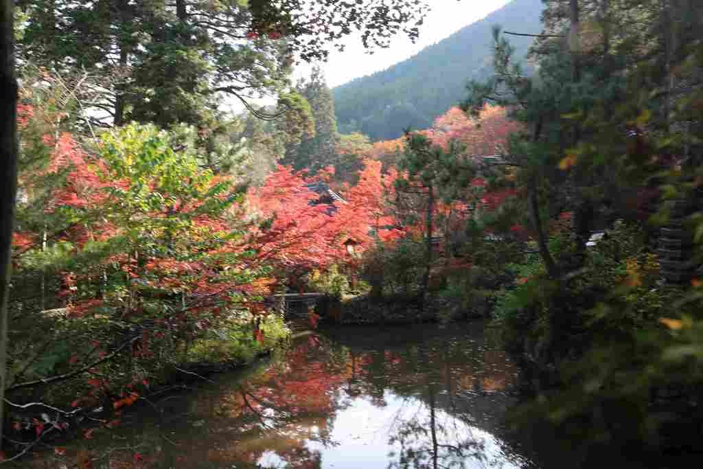 🍁 괭이산 신사(구와야마 진자) 이미지 5
